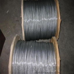 高品质不锈钢钢丝绳 304/316L材质与多样化选择，尽在东莞石虎金属